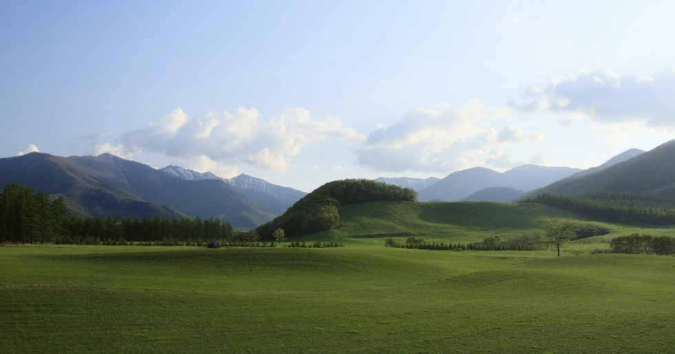 千年の森アースガーデン：日高山脈につながる大らかな芝生
